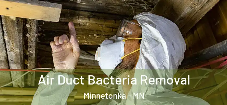  Air Duct Bacteria Removal Minnetonka - MN