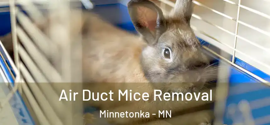 Air Duct Mice Removal Minnetonka - MN