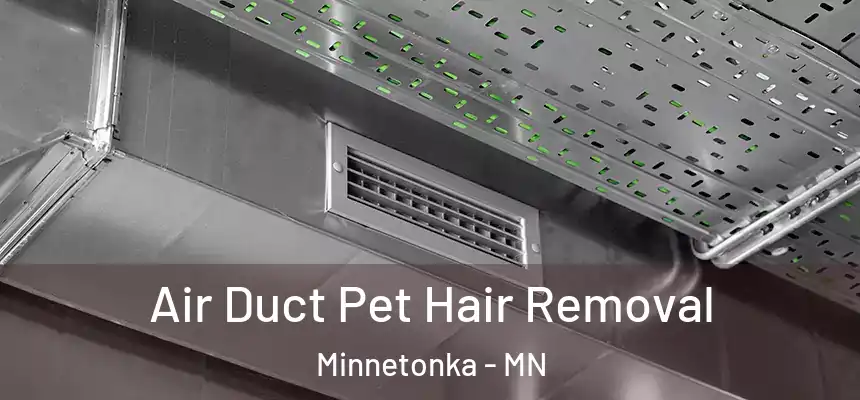  Air Duct Pet Hair Removal Minnetonka - MN