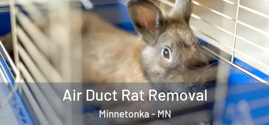  Air Duct Rat Removal Minnetonka - MN