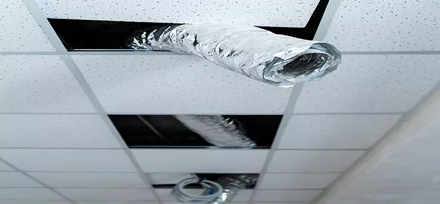 Affordable HVAC Sanitizing After Pest Removal in Minnetonka