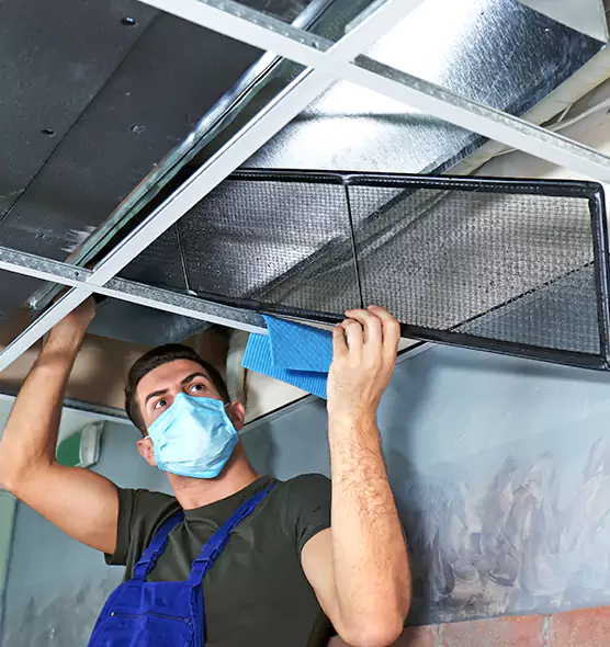 Professional Air Duct Pollen Cleaning in Minnetonka, MN
