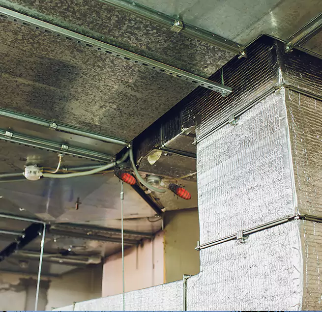 Why Homeowners & Businesses Trust Us in Minnetonka, MN?